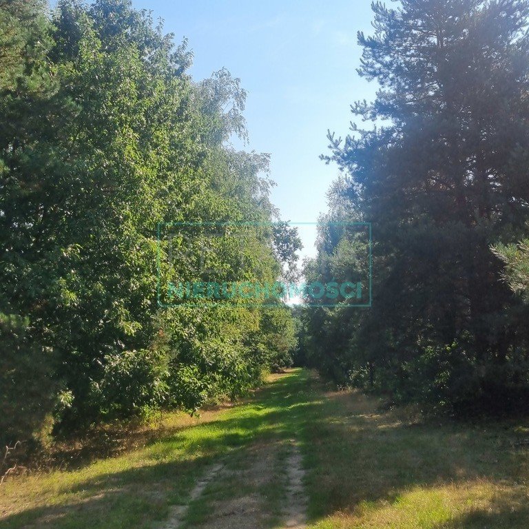 Urokliwa działka leśna z dostępem do rzeki, MPZP, 11 290 m2 Prace Duże  11 290m2 Foto 1