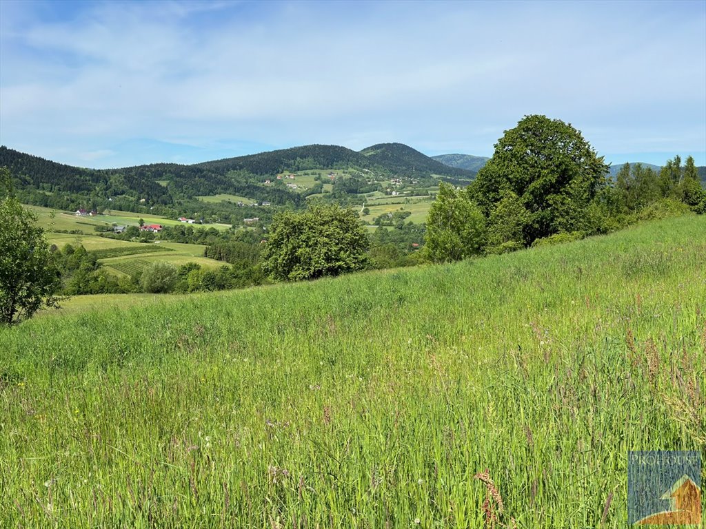 Działka budowlana na sprzedaż Skrzydlna  7 400m2 Foto 7