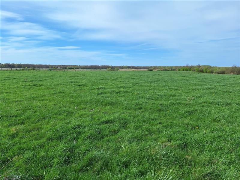 Działka budowlana na sprzedaż Żukowo Morskie, Żukowo Morskie  1 800m2 Foto 2