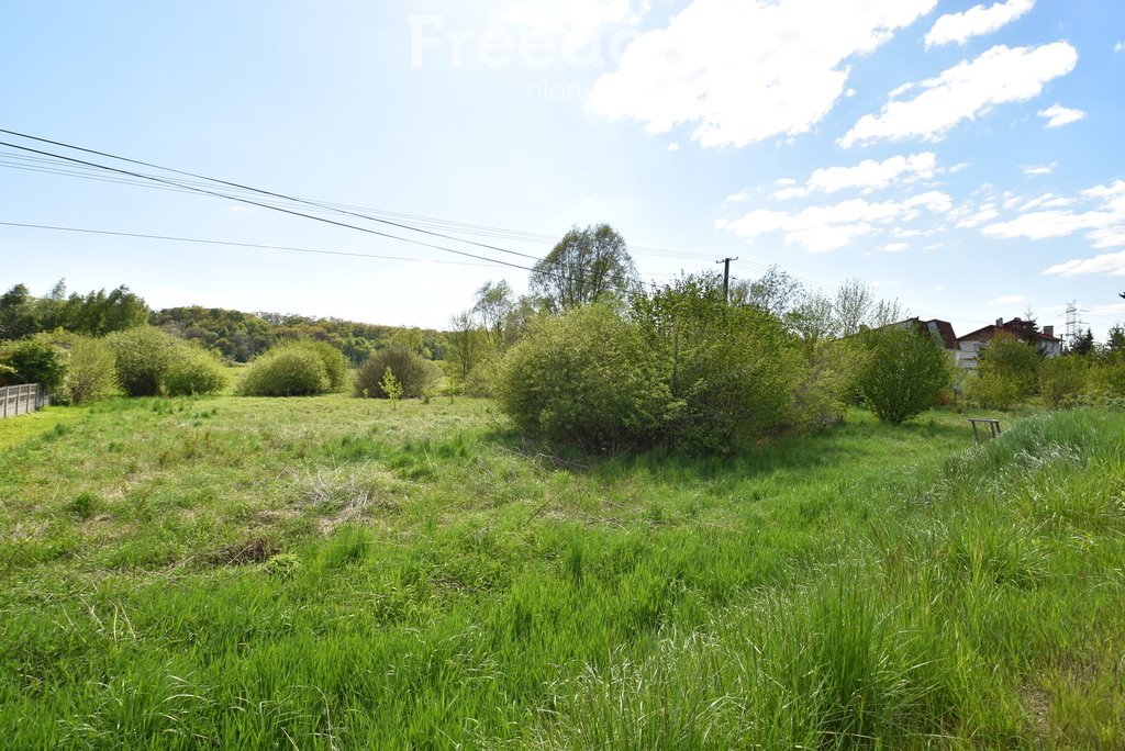 Działka inna na sprzedaż Bodzechów  10 500m2 Foto 1