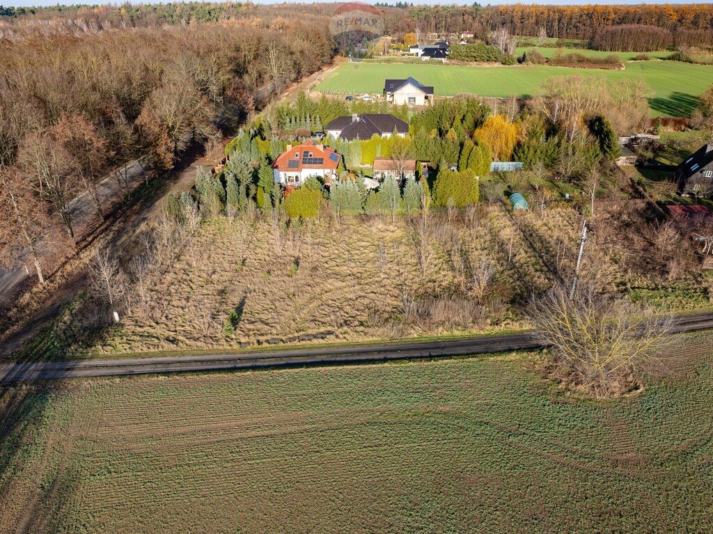 Działka budowlana na sprzedaż Grzebienisko, Szamotulska  2 385m2 Foto 7