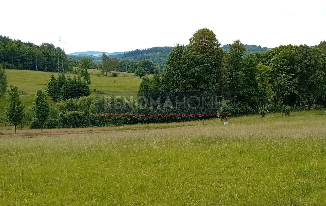 Działka budowlana na sprzedaż Głuszyca  1 341m2 Foto 5