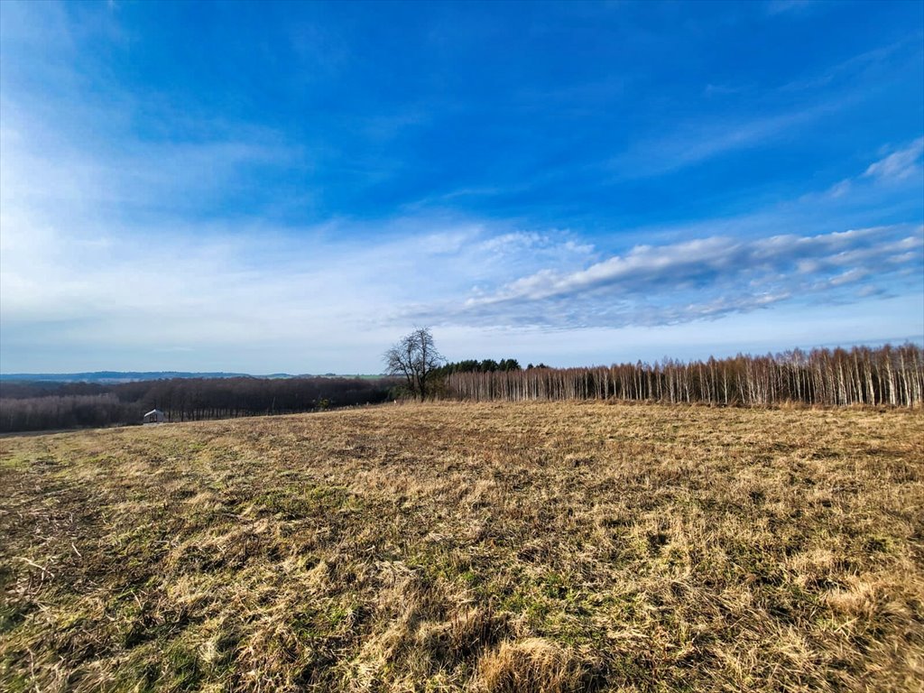 Działka budowlana na sprzedaż Olsztyn  500m2 Foto 5