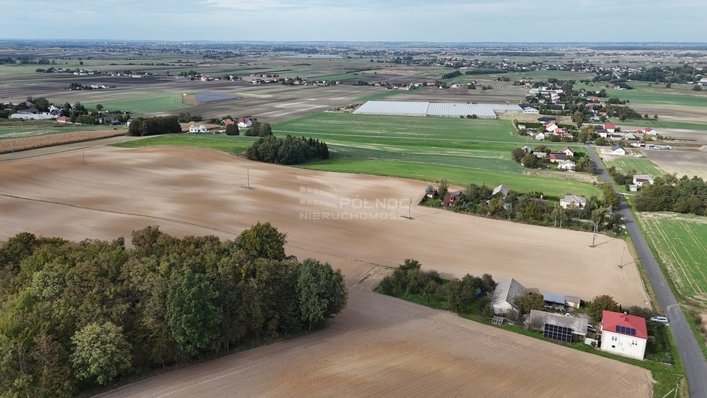 Działka siedliskowa na sprzedaż Łabunie  7 726m2 Foto 4