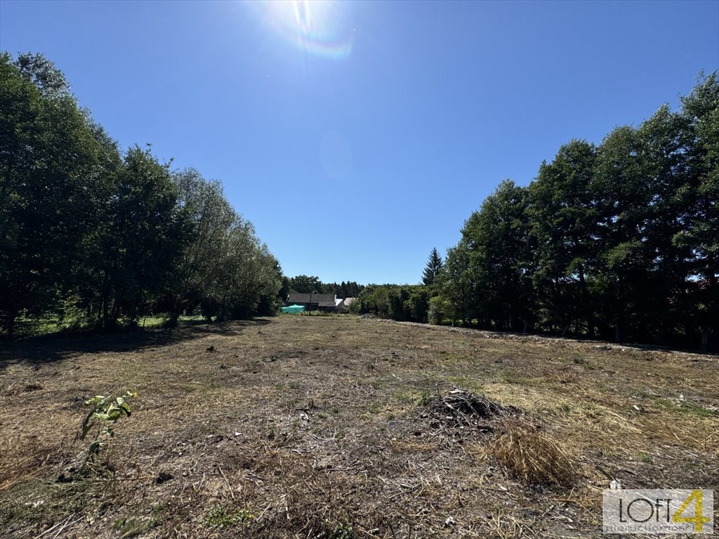 Działka budowlana na sprzedaż Świdrówka  1 000m2 Foto 8