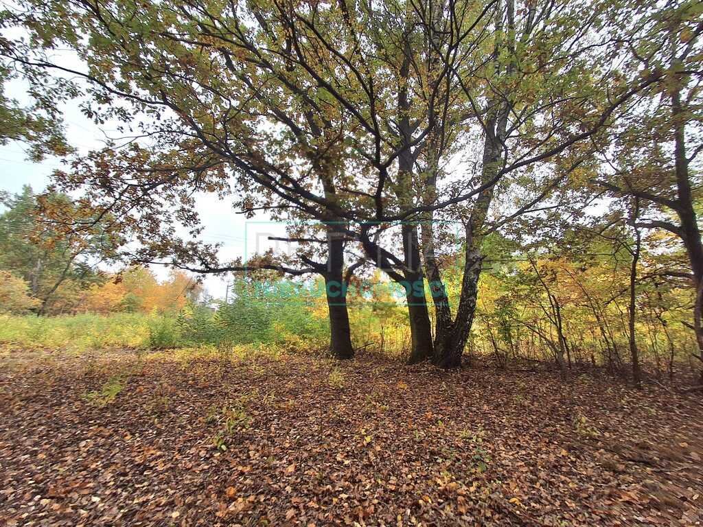 Działka budowlana na sprzedaż Milanówek  2 000m2 Foto 1