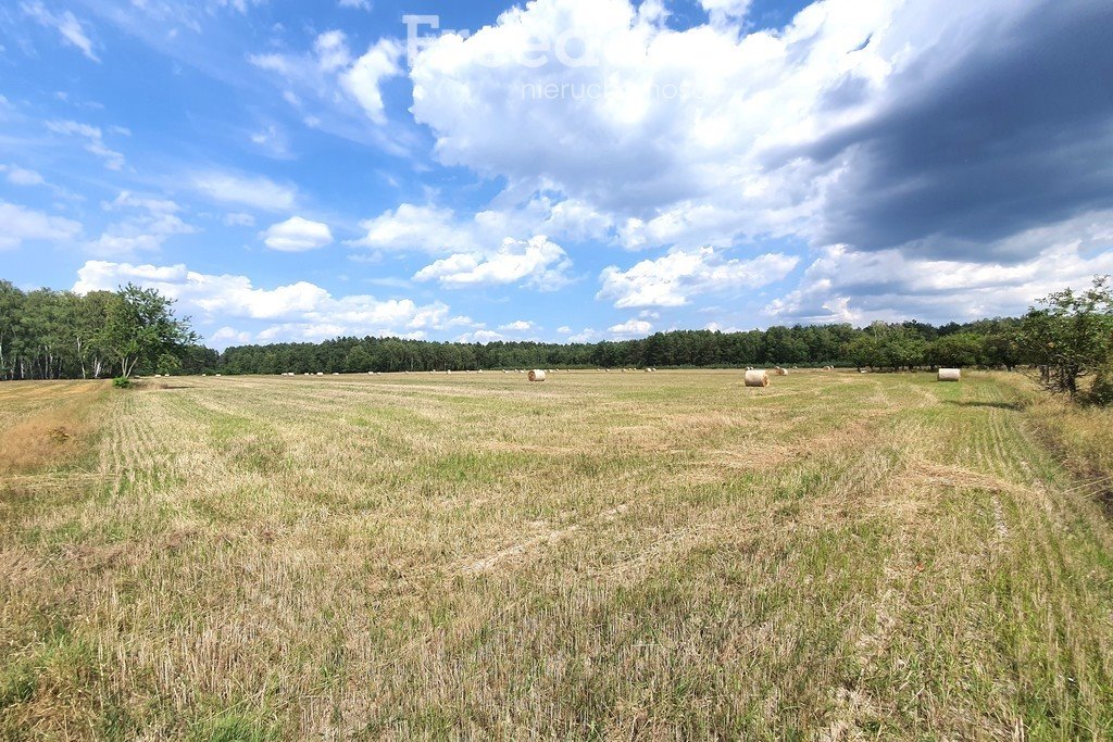 Działka rolna na sprzedaż Trojanów  120 327m2 Foto 8