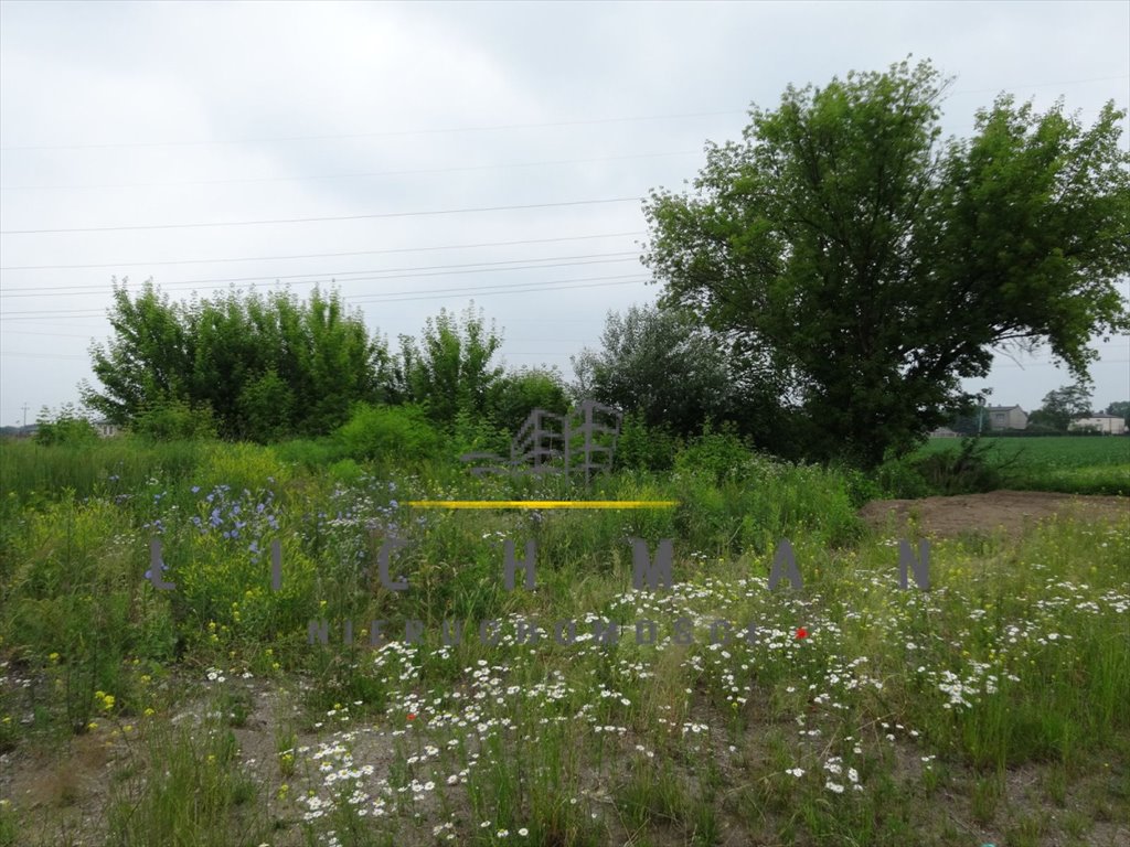 Działka budowlana na sprzedaż Piątkowisko  2 581m2 Foto 1