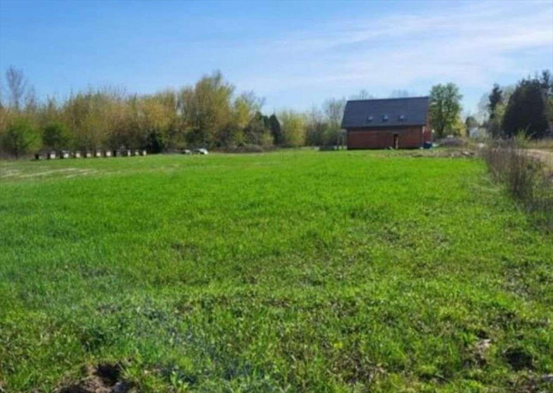 Działka budowlana na sprzedaż Łomianki Dolne  3 000m2 Foto 3