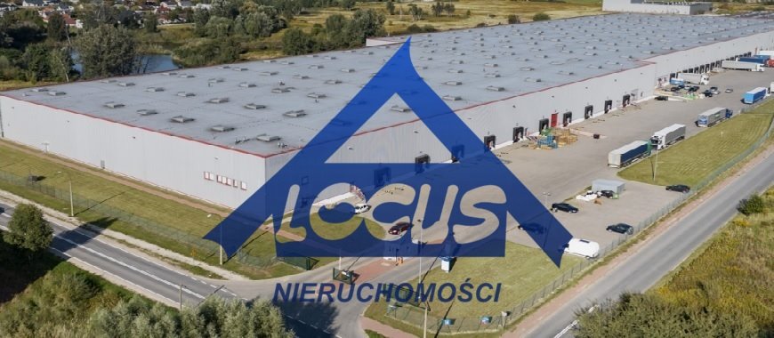 Magazyn 8 129m² z biurem, dokami, wysokie składowanie: Baniocha