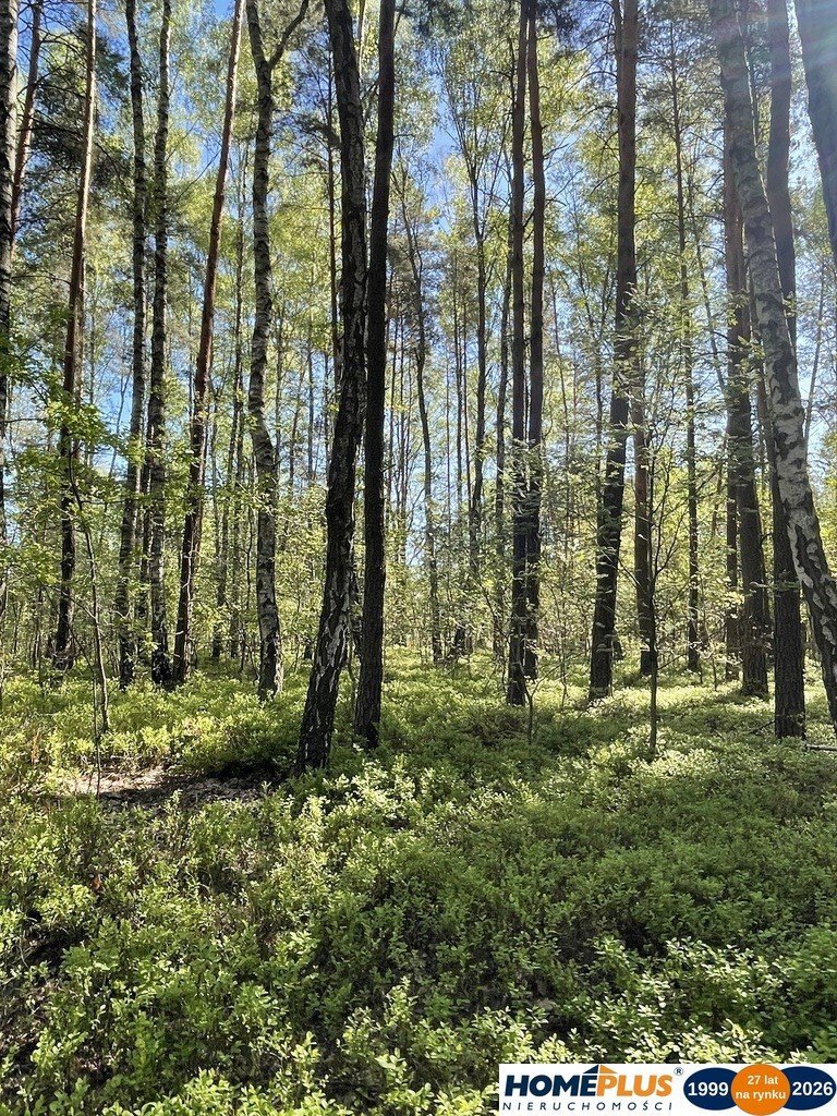 Działka 1116 m² pod zabudowę jednorodzinną w Ciemnem - polecam! Ciemne  1 116m2 Foto 1