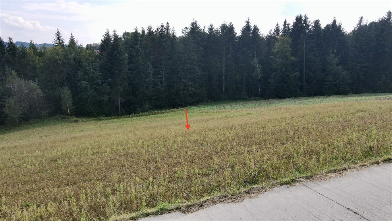 Działka budowlana na sprzedaż Bartkowa-Posadowa  1 836m2 Foto 4