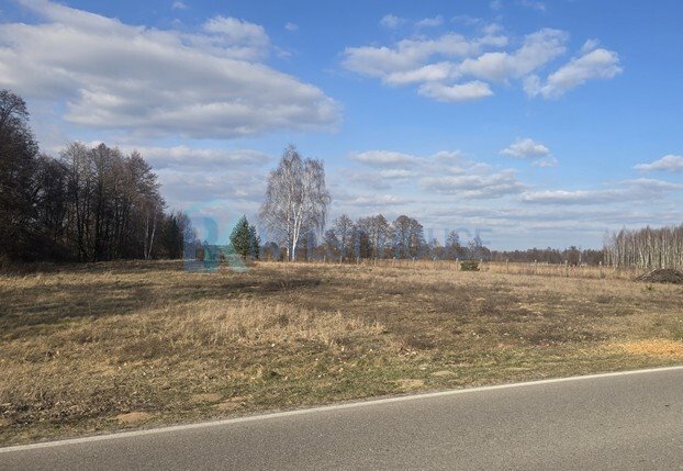 Działka 4328 m² pod zabudowę, media, las - polecam! Dąbrówka  4 328m2 Foto 1