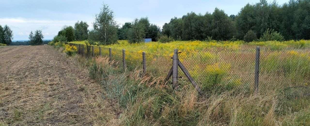 Działka budowlana na sprzedaż Mzyki  8 396m2 Foto 2