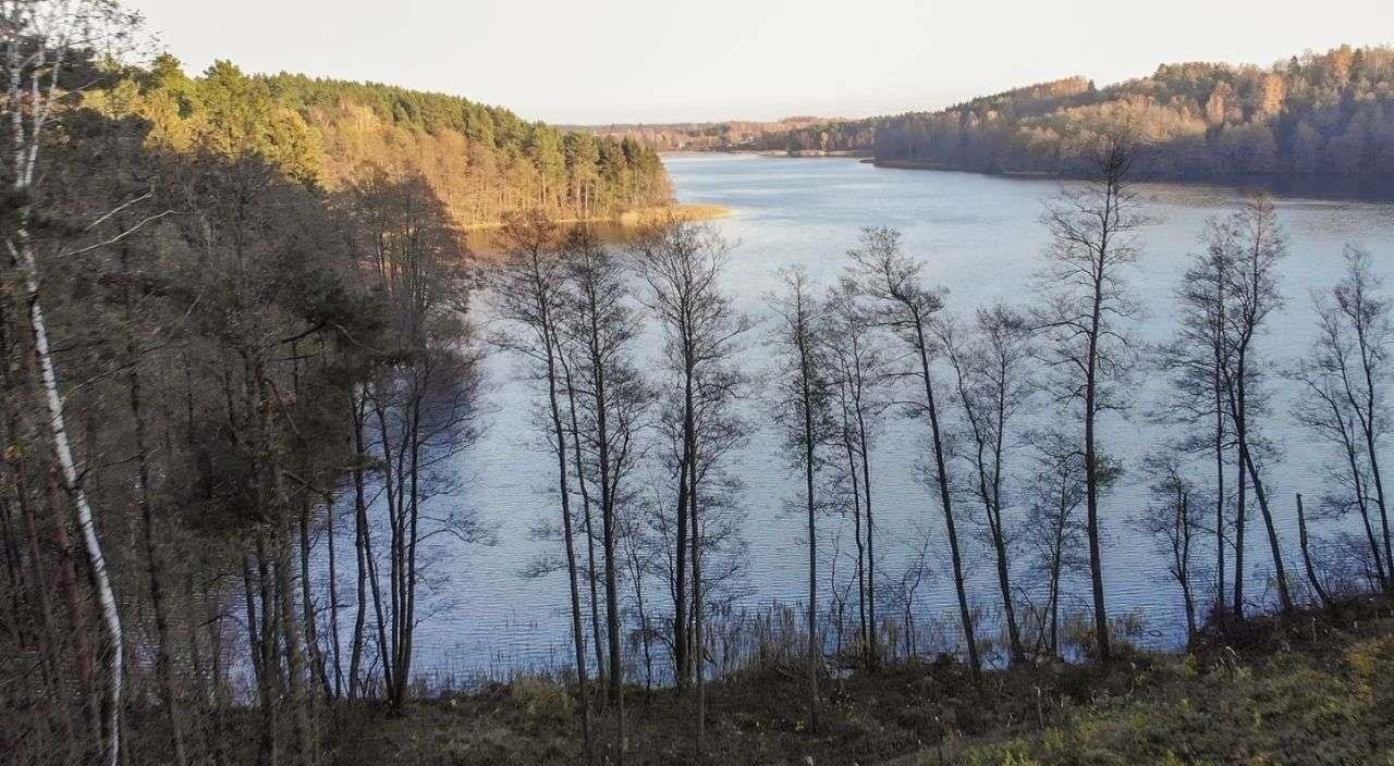 Działka rolna na sprzedaż Nowe Krzywe  3 011m2 Foto 12