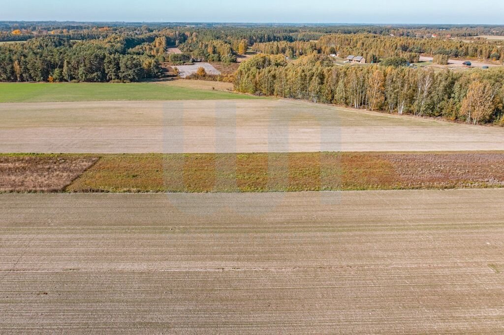 Działka budowlana na sprzedaż Krajęczyn  3 000m2 Foto 4