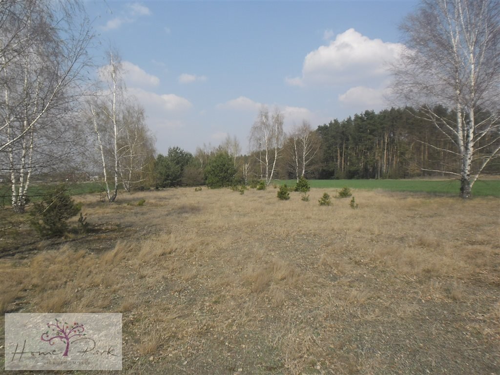 Działka inna na sprzedaż Sędziejowice  9 600m2 Foto 3