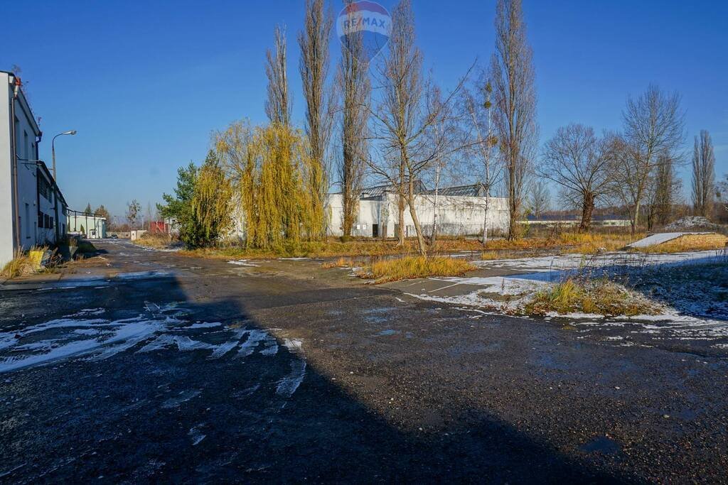 Magazyn na sprzedaż Sochaczew, Chodakowska  12 973m2 Foto 13