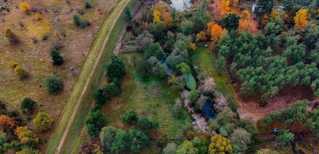 Działka budowlana na sprzedaż Niwy Ostrołęckie  2 385m2 Foto 15