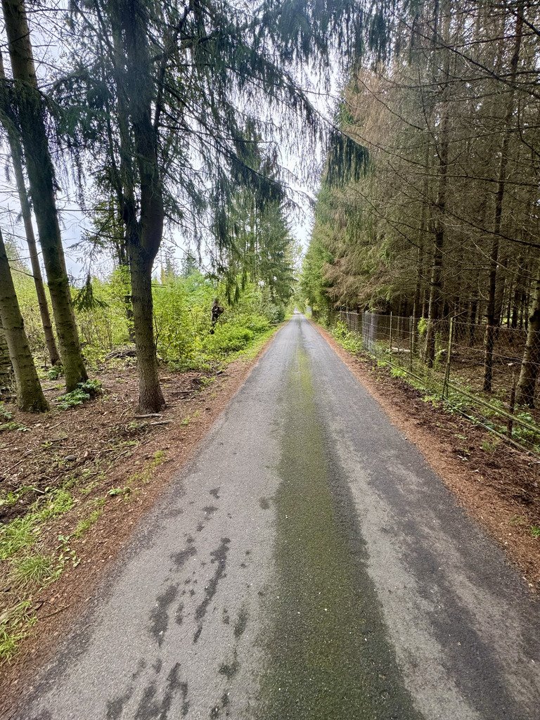 Działka budowlana na sprzedaż Żółwin  3 000m2 Foto 4