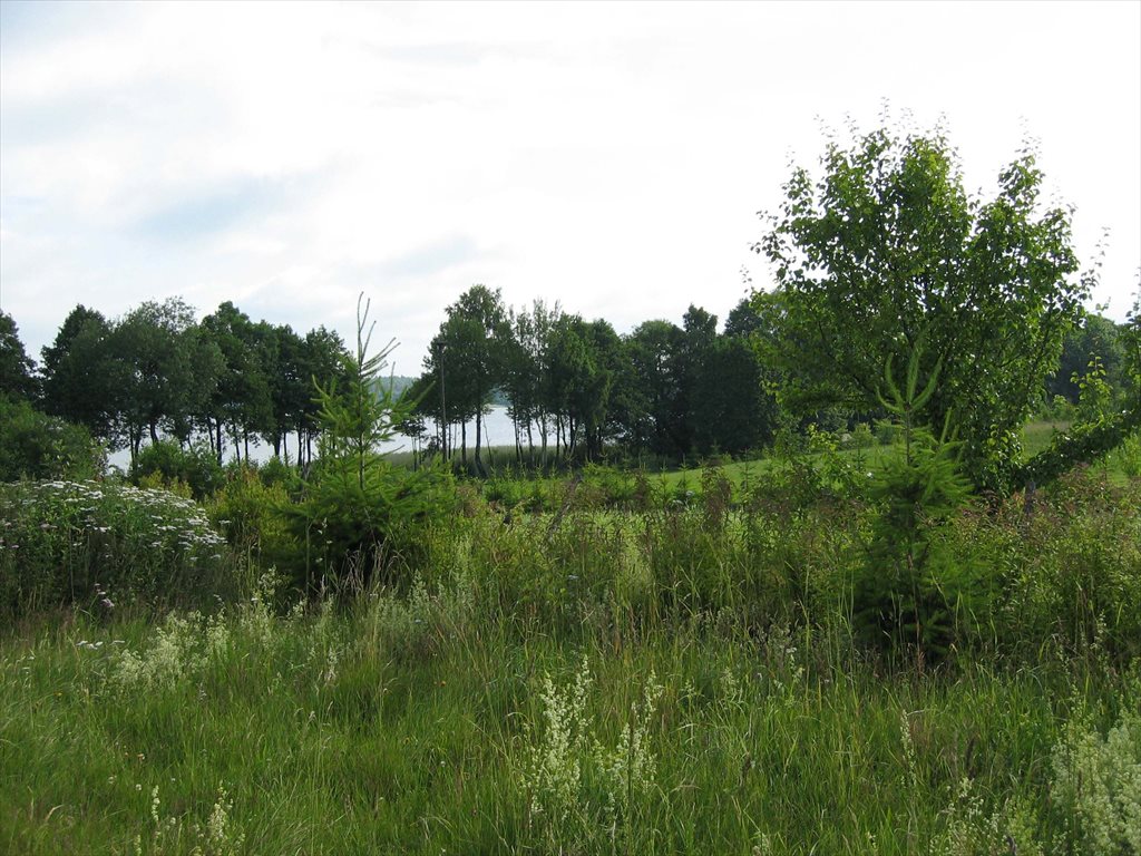 Działka budowlana na sprzedaż Gil Wielki 4 500m2 Foto 1 Działka budowlana na sprzedaż Gil Wielki 4 500m2 Foto 1