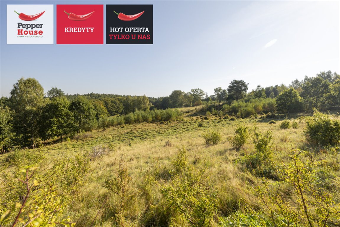 Działka budowlana na sprzedaż Huta Dolna  9 600m2 Foto 1