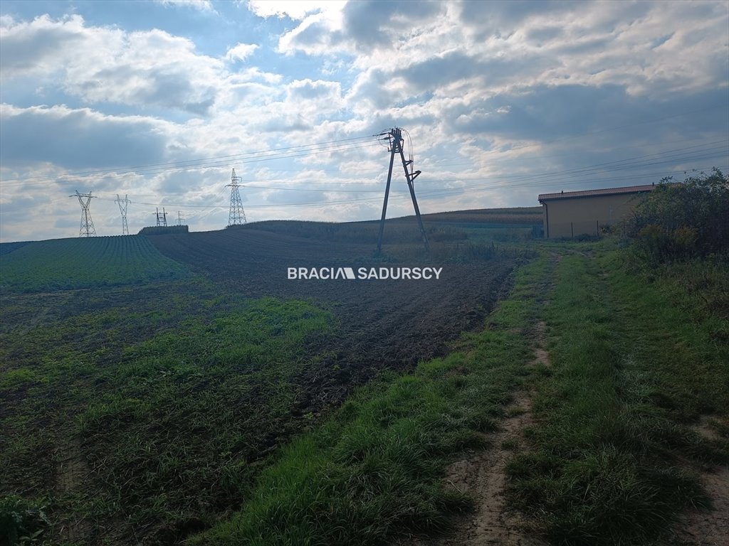 Działka budowlana na sprzedaż Proszowice  9 901m2 Foto 1