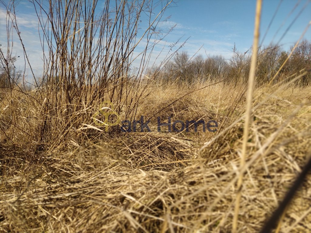 Działka budowlana na sprzedaż Serby  2 500m2 Foto 5