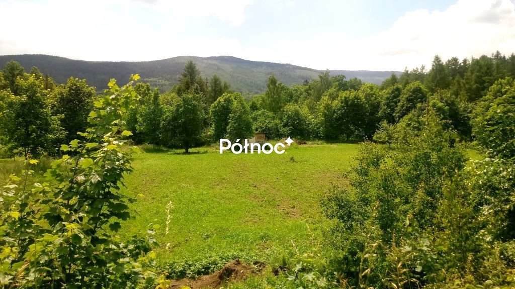 Działka 8 239 m² z domkiem, widoki na góry, strumyk Kowary, Karkonoska  8 239m2 Foto 1