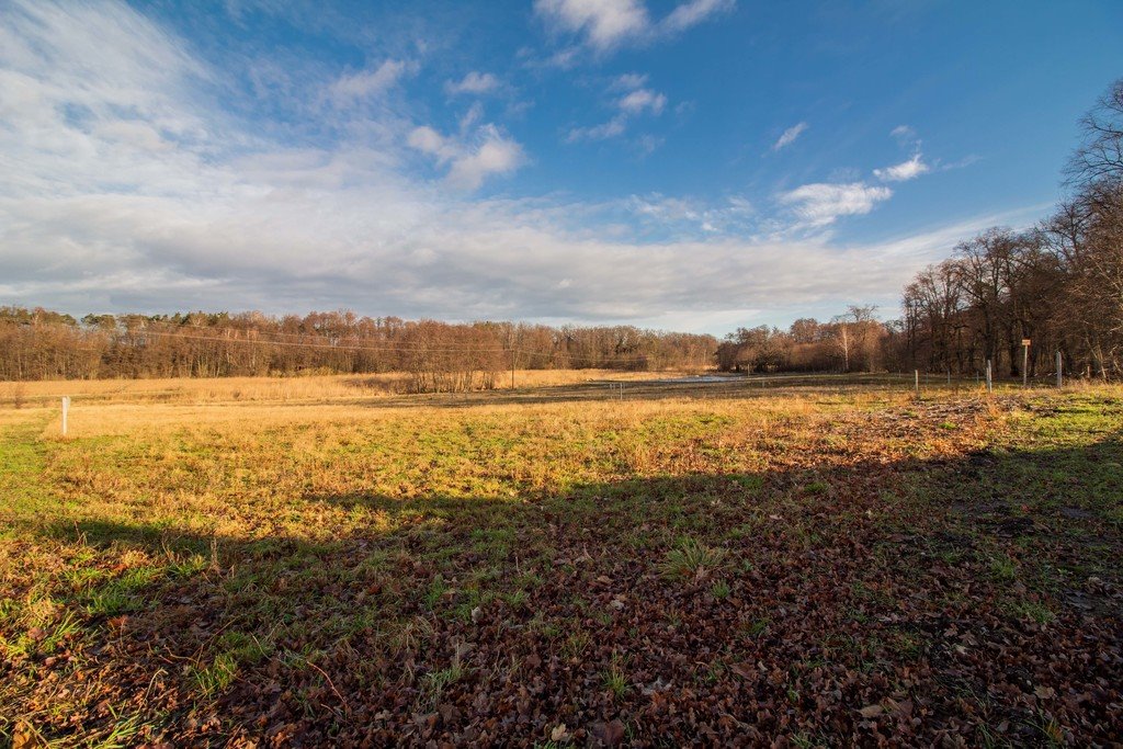 Działka budowlana na sprzedaż Żary, Bociania  889m2 Foto 2