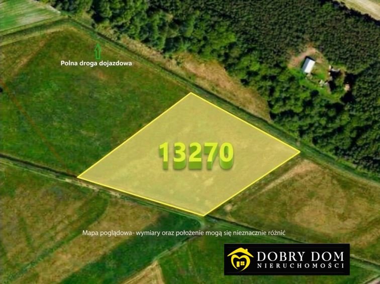 Dwie działki 13 270 m² w Borsukówce - polecam! Borsukówka  13 270m2 Foto 1
