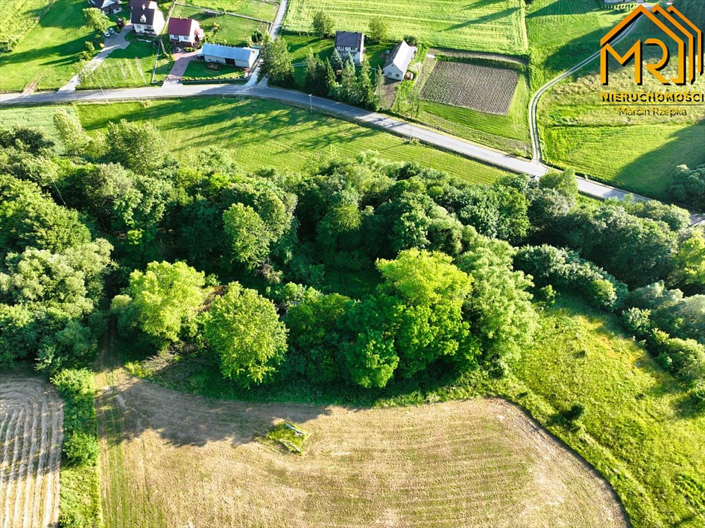 Działka inna na sprzedaż Wola Lubecka  47 900m2 Foto 7