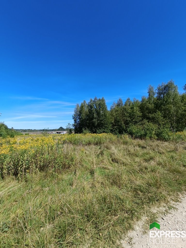 Działka przemysłowo-handlowa na sprzedaż Otwock, Pokojowa  5 781m2 Foto 1