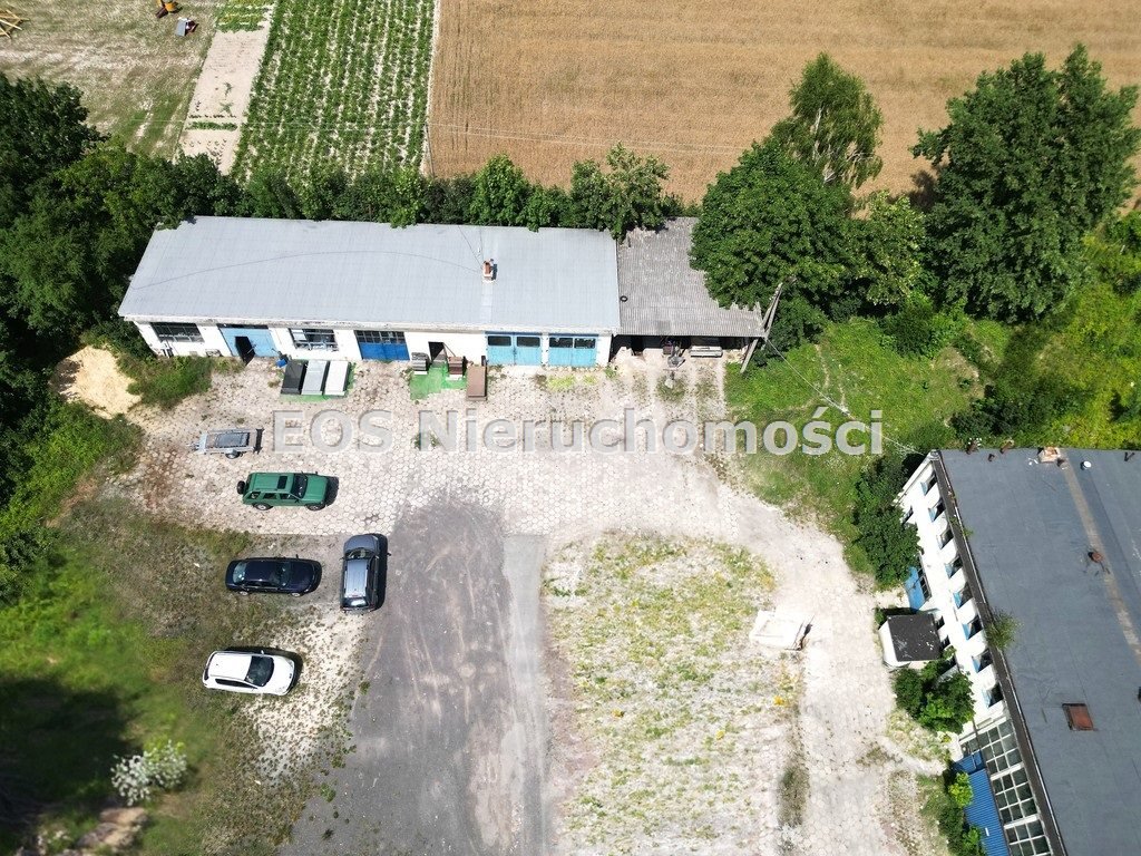 Lokal użytkowy na sprzedaż Świerszczów-Kolonia  740m2 Foto 2