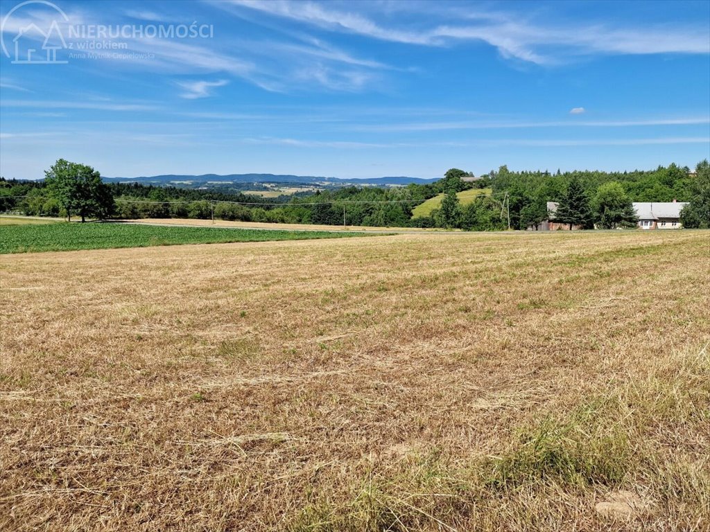 Działka budowlana na sprzedaż Turza  2 400m2 Foto 1