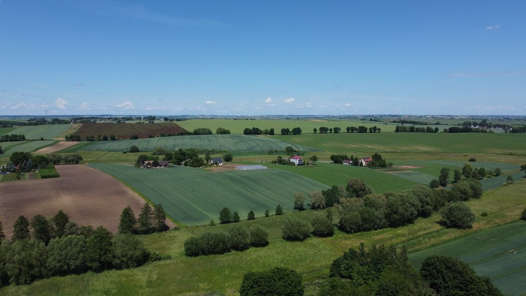 Działka budowlana na sprzedaż Wilków, Kolonia  1 556m2 Foto 12