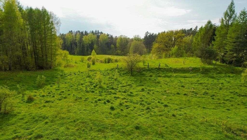 Działka rolna na sprzedaż Jakubowo  3 500m2 Foto 12