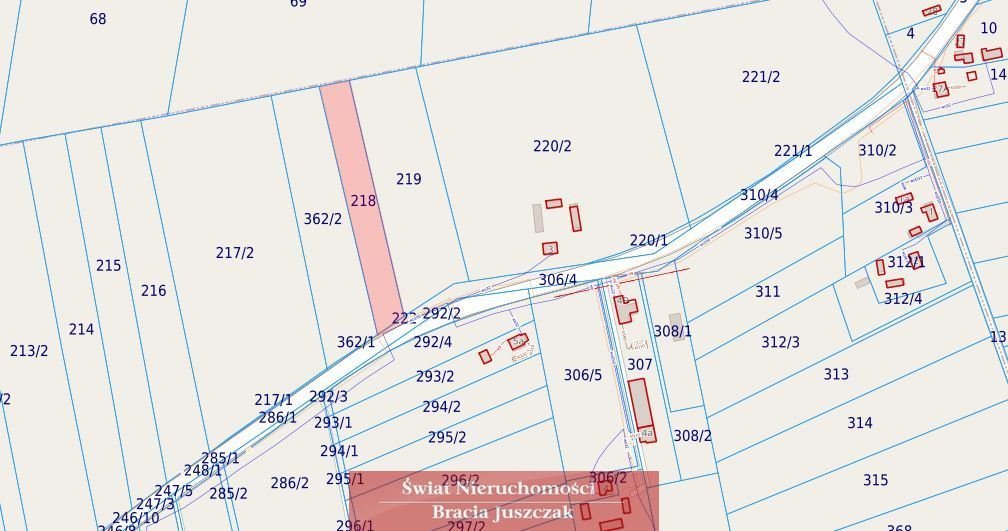 Działka rolna na sprzedaż Siedliszcze  4 400m2 Foto 4