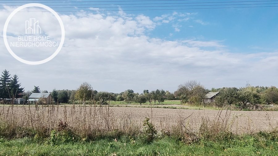 Działka budowlana na sprzedaż Wereszcze Duże  3 000m2 Foto 6