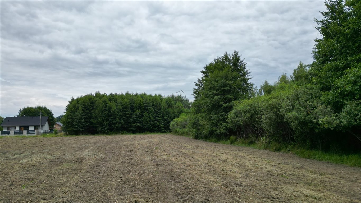 Działka budowlana na sprzedaż Brzesko, Jasień, Kasprowicza  800m2 Foto 6