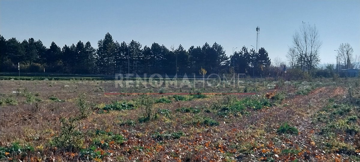 Działka inwestycyjna na sprzedaż Świebodzice  14 000m2 Foto 8