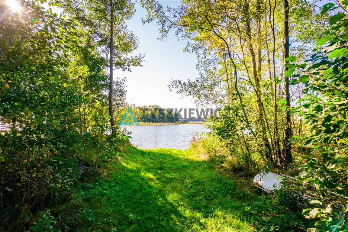 Działka budowlana na sprzedaż Peplin  4 000m2 Foto 11