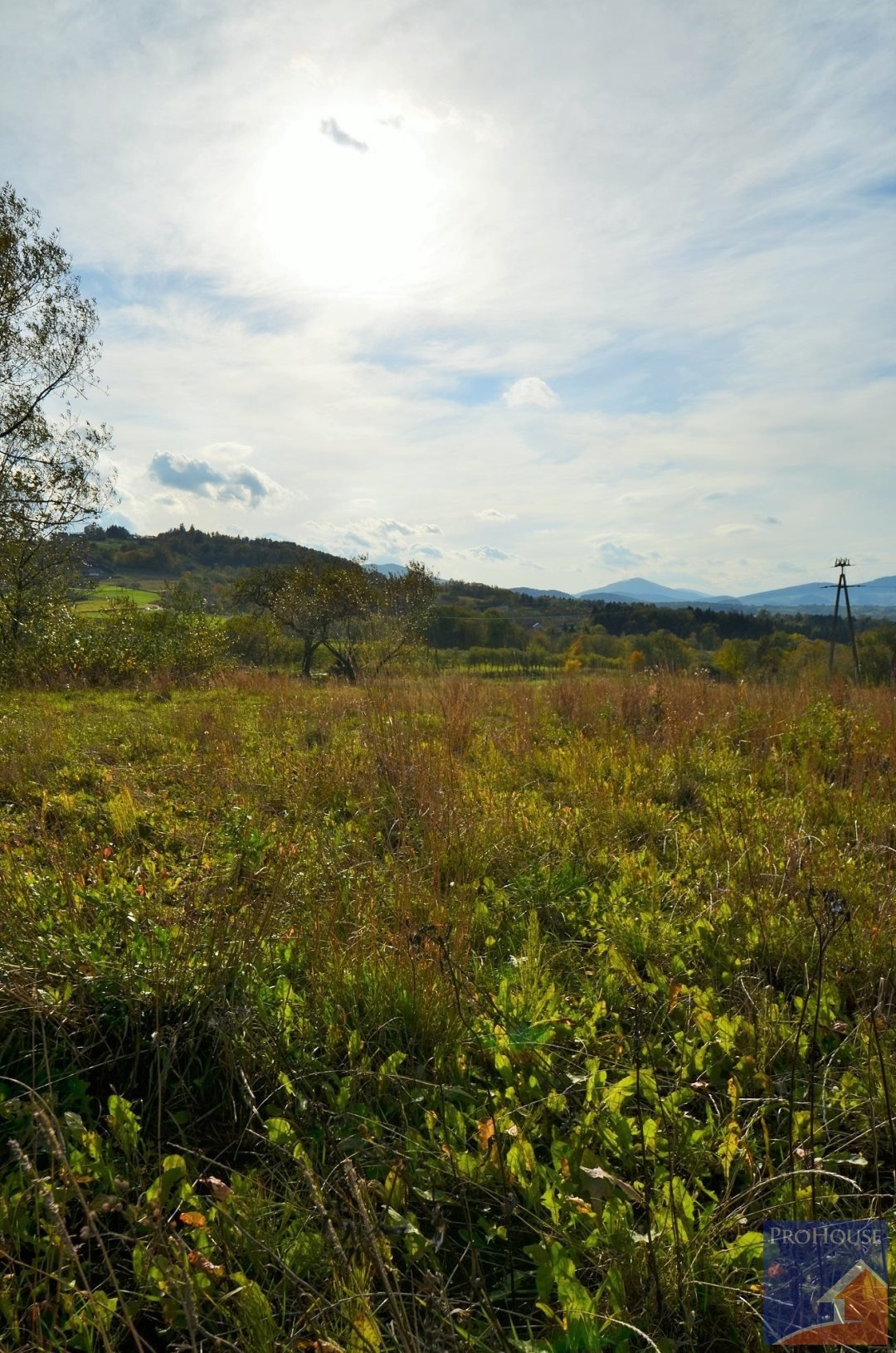 Działka budowlana na sprzedaż Kostrza  5 900m2 Foto 12