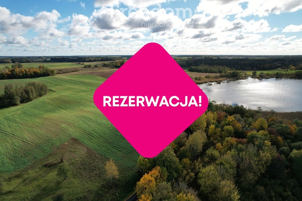 Działka rolna na sprzedaż Golubie  3 000m2 Foto 4