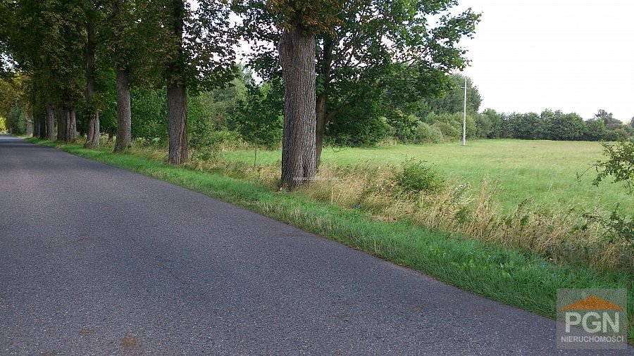 Polecam działkę 5000 m² w Kołczewie okolica 2 km od centrum KOŁCZEWO OKOLICA, okolica - 2 km  5 000m2 Foto 1