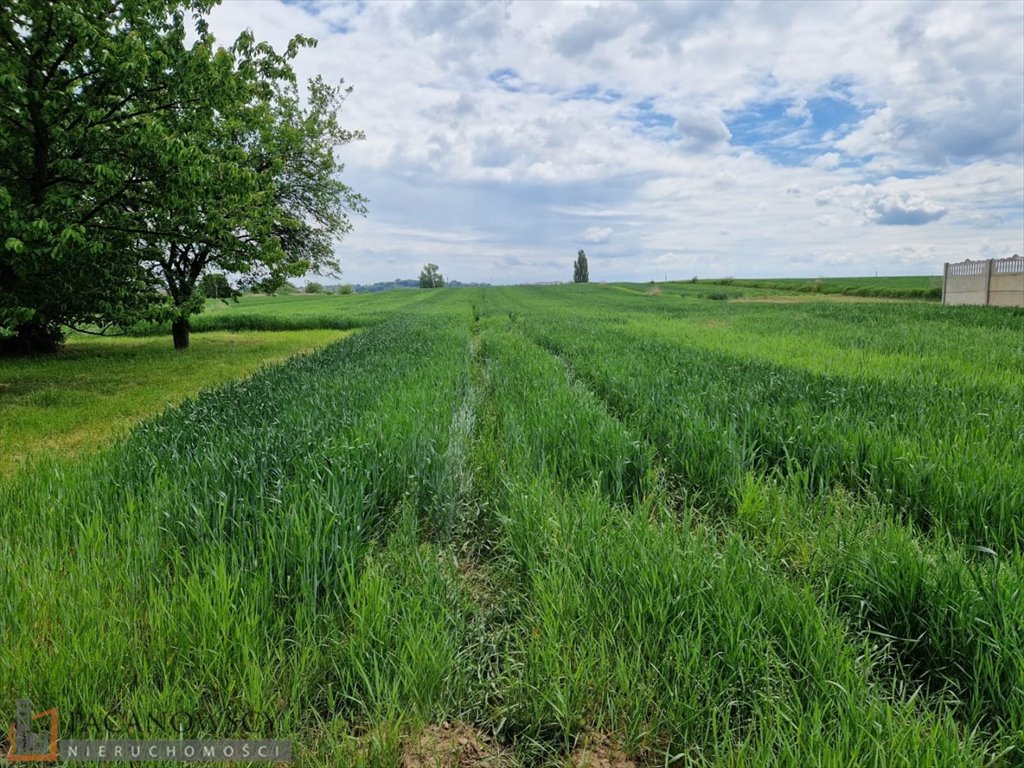 Działka 11 200 m² z możliwością zabudowy i usług zapraszam Raciborowice  11 200m2 Foto 1