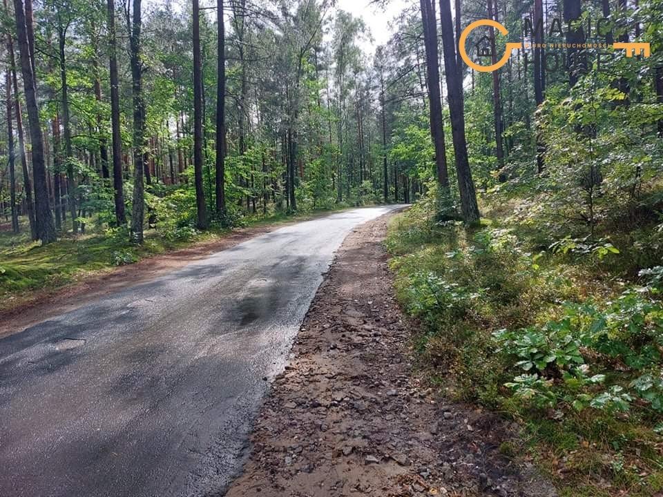 Działka leśna na sprzedaż Iwiczno, Czechowo  3 000m2 Foto 12