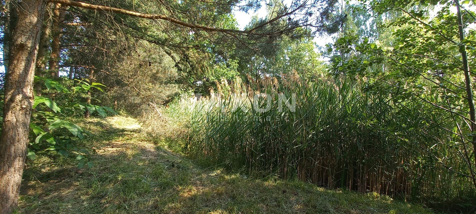 Działka budowlana na sprzedaż Murowanka  2 900m2 Foto 38