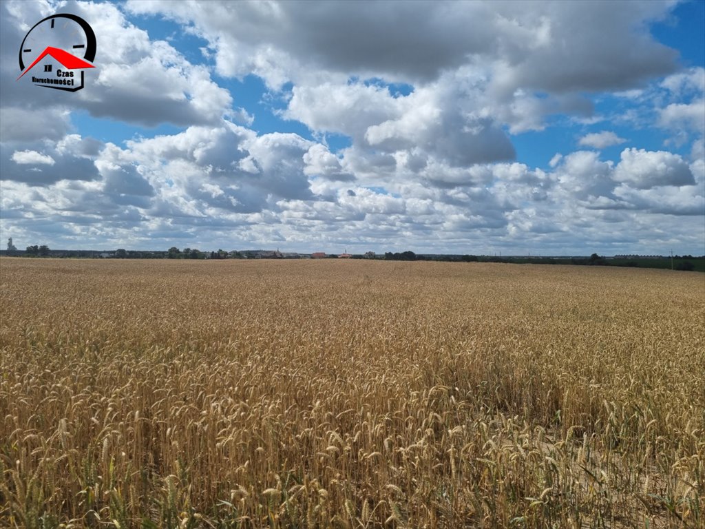 Działka budowlana na sprzedaż Barcin  1 040m2 Foto 7