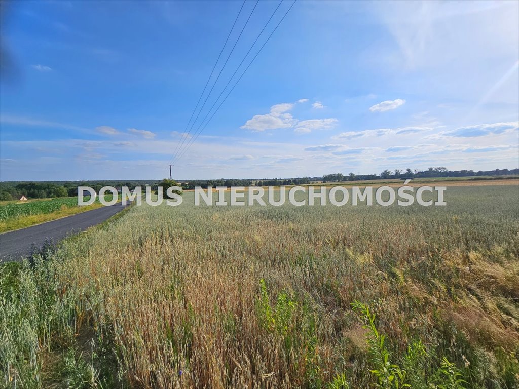 Działka 3000m² z widokiem na pola i las, blisko Brzezin Tworzyjanki  3 001m2 Foto 1